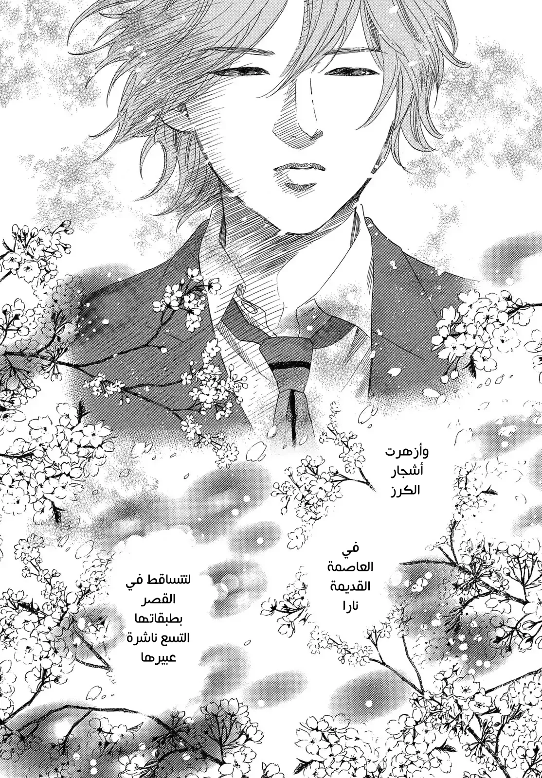 Read Chihayafuru AR Manga Online