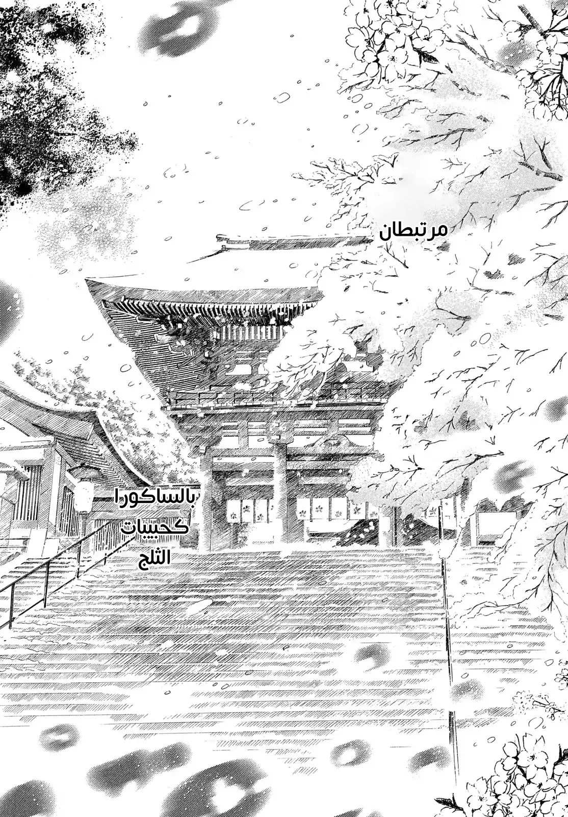 Read Chihayafuru AR Manga Online
