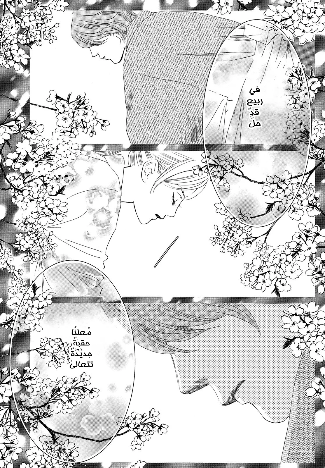 Read Chihayafuru AR Manga Online