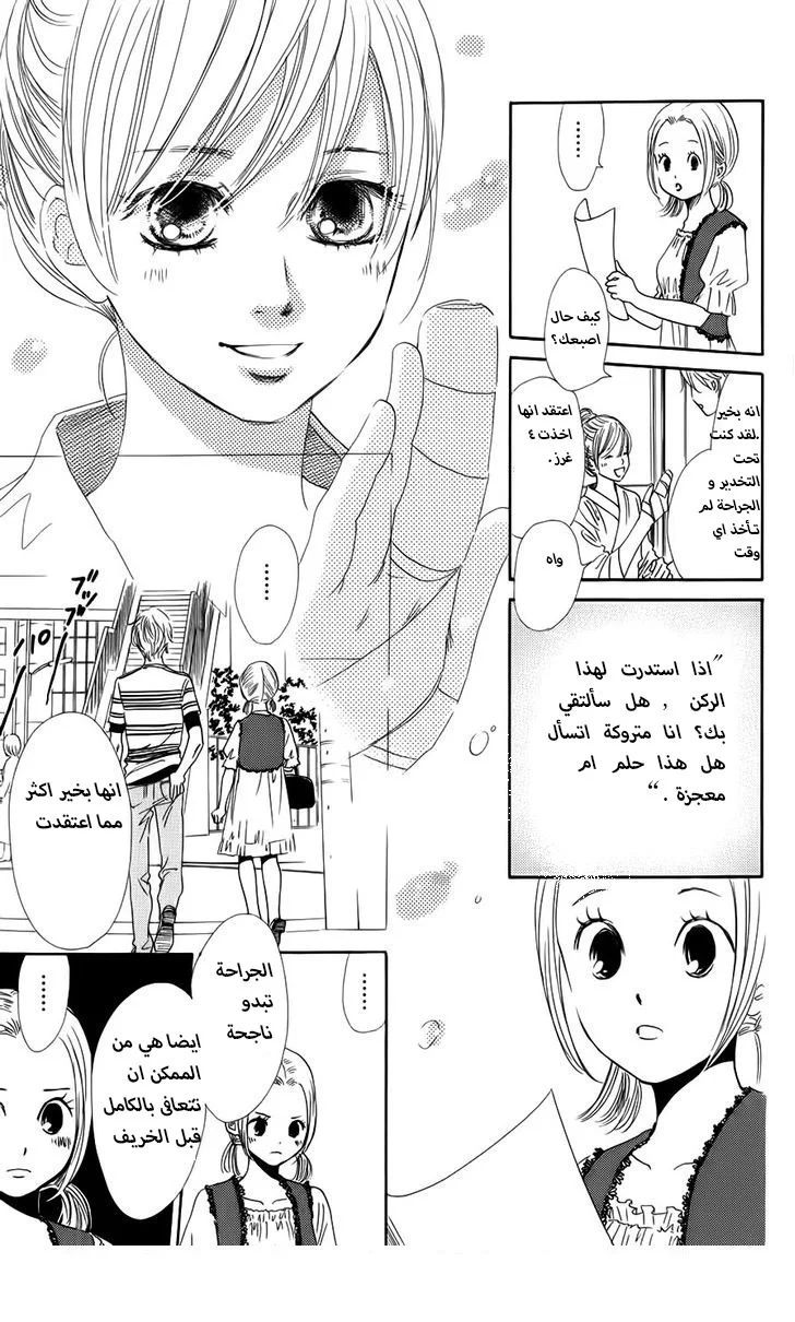 Read Chihayafuru AR Manga Online