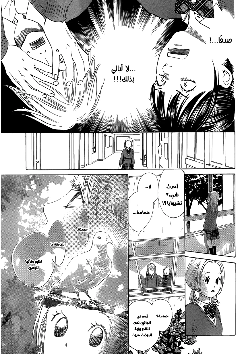 Read Chihayafuru AR Manga Online
