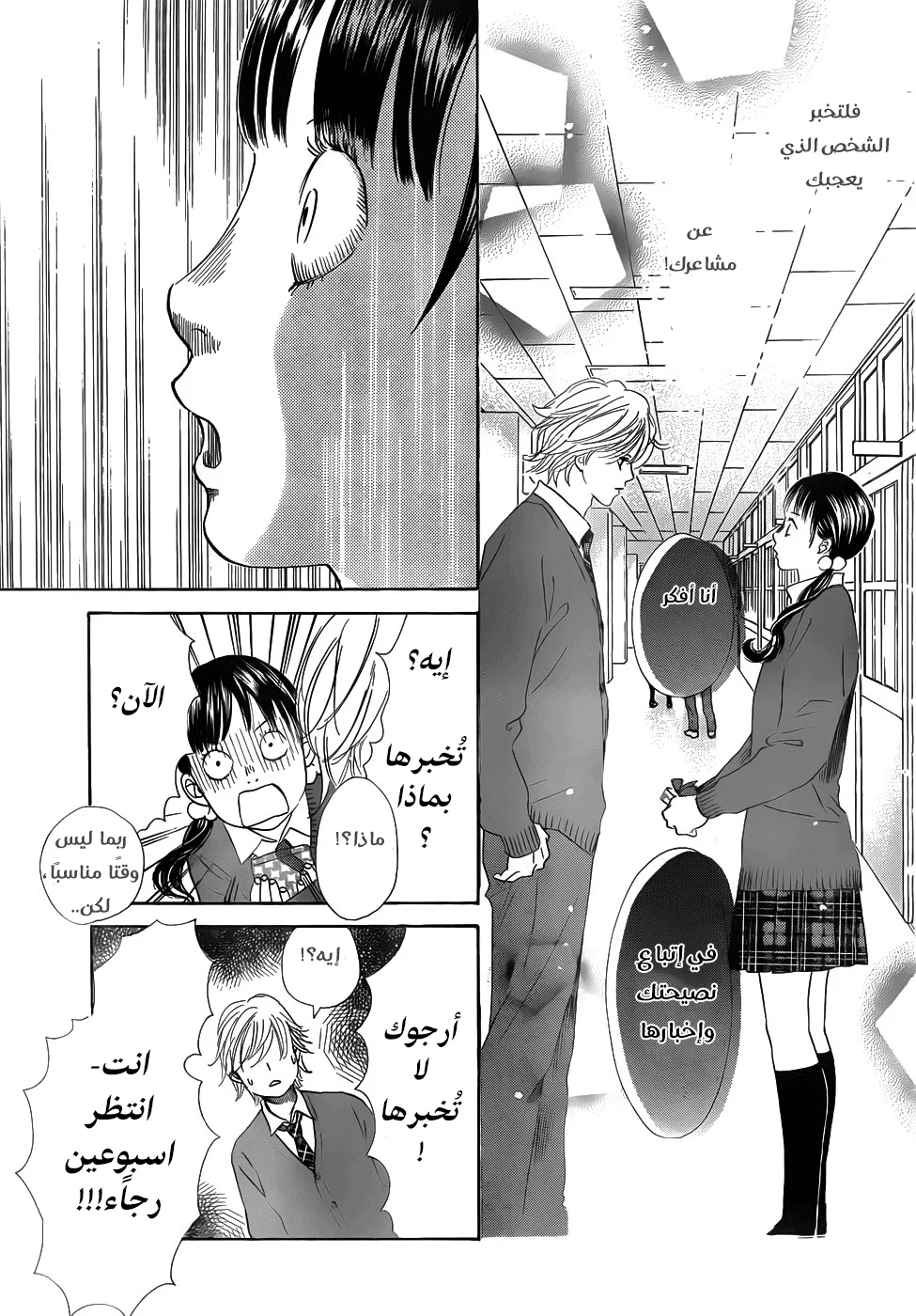 Read Chihayafuru AR Manga Online