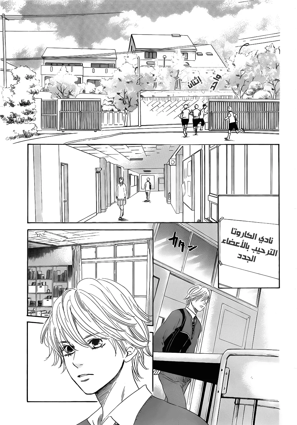 Read Chihayafuru AR Manga Online