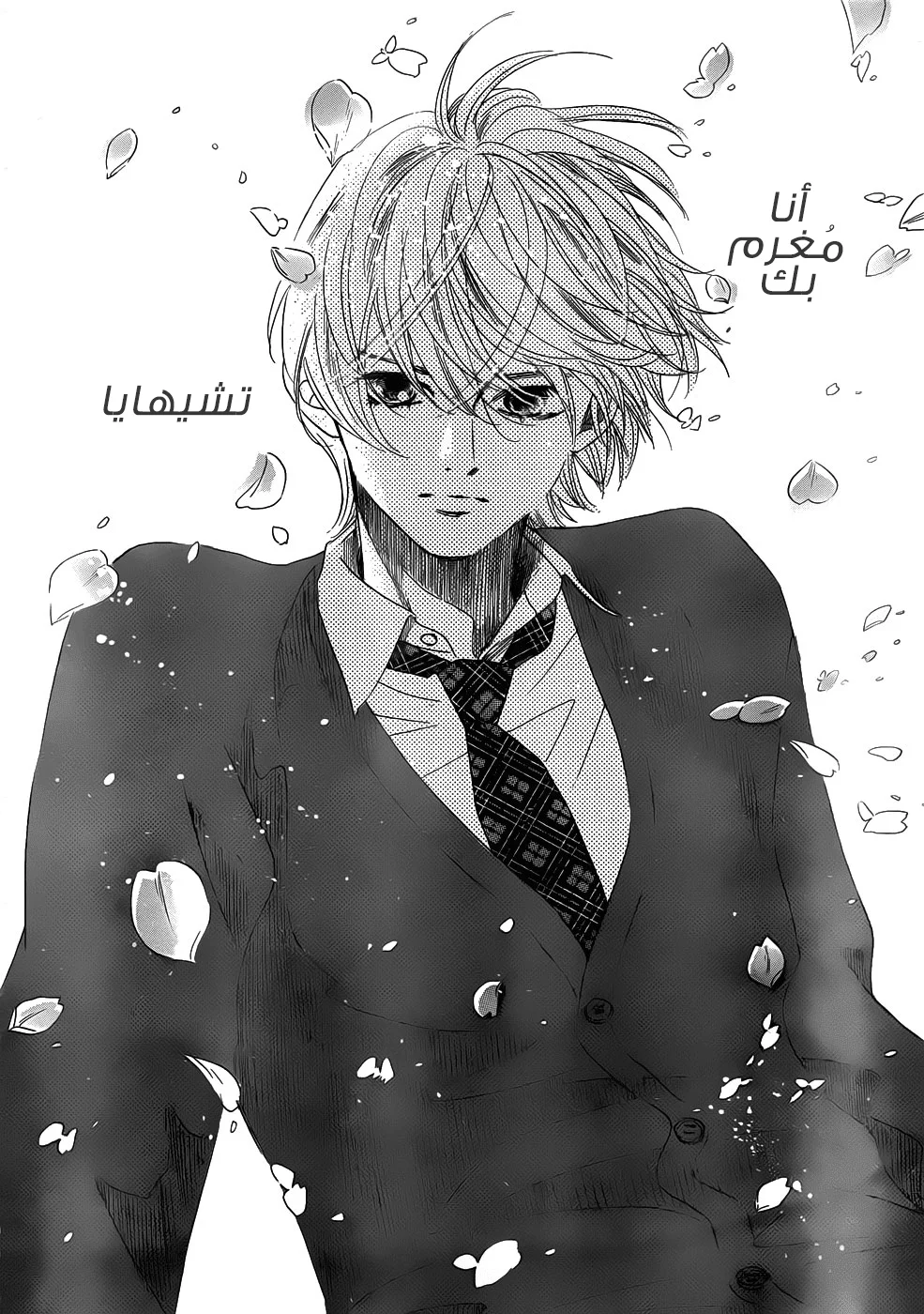 Read Chihayafuru AR Manga Online