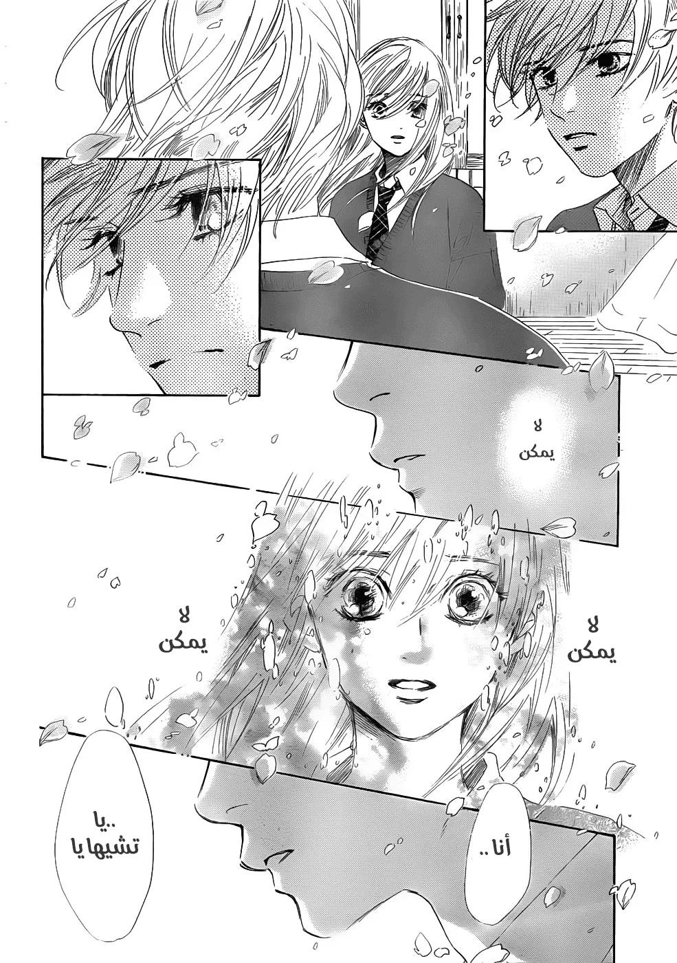 Read Chihayafuru AR Manga Online