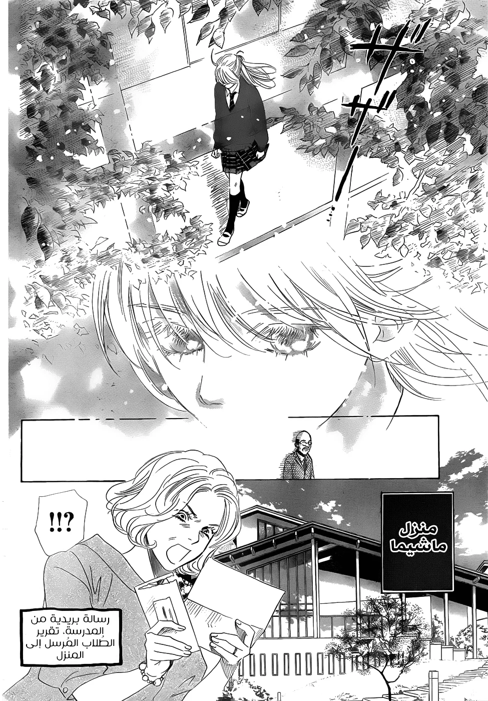 Read Chihayafuru AR Manga Online