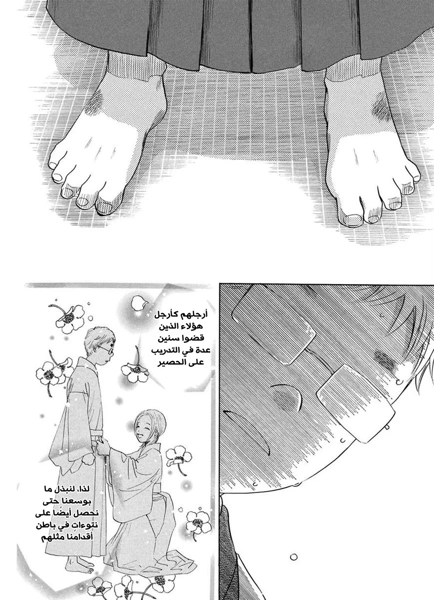 Read Chihayafuru AR Manga Online
