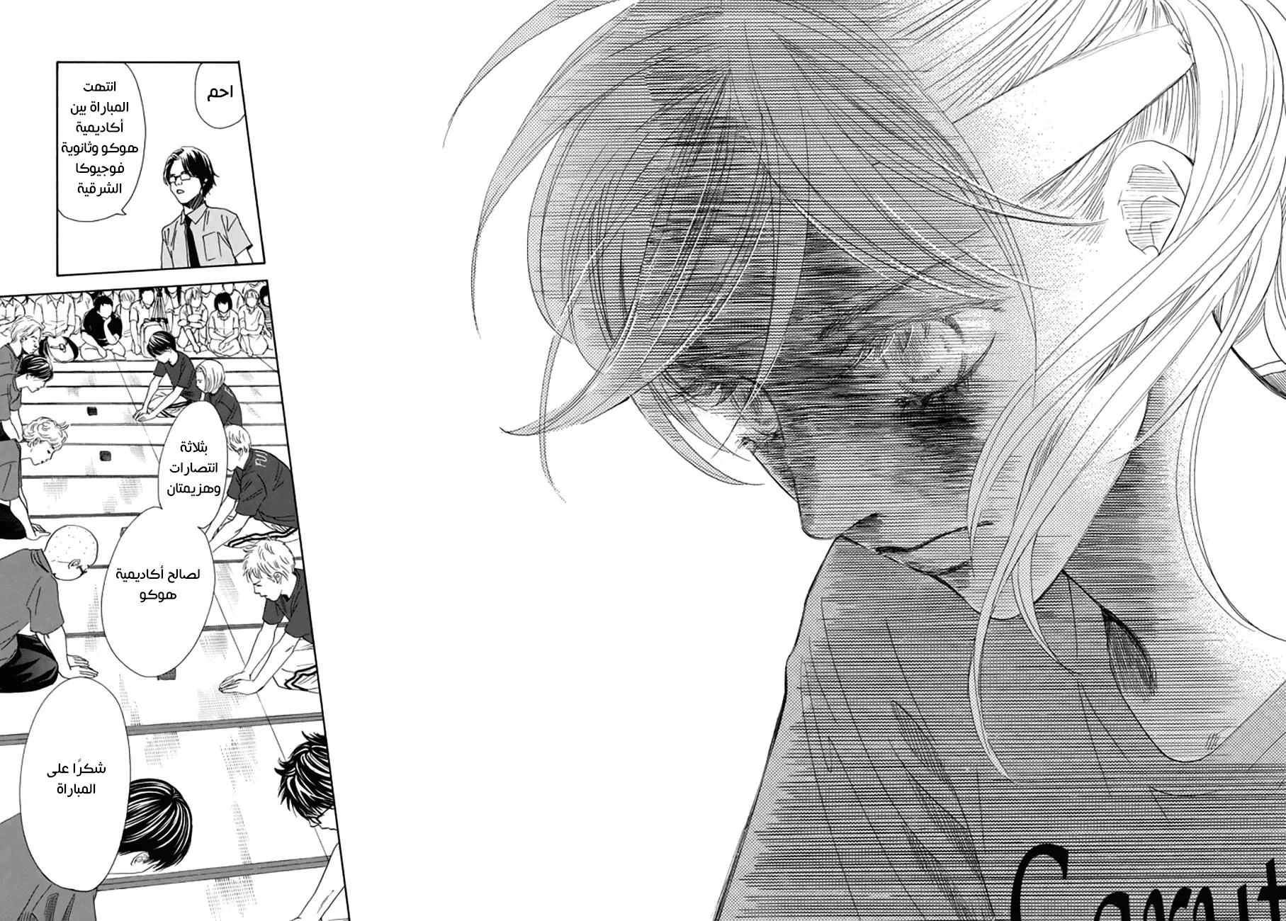 Read Chihayafuru AR Manga Online