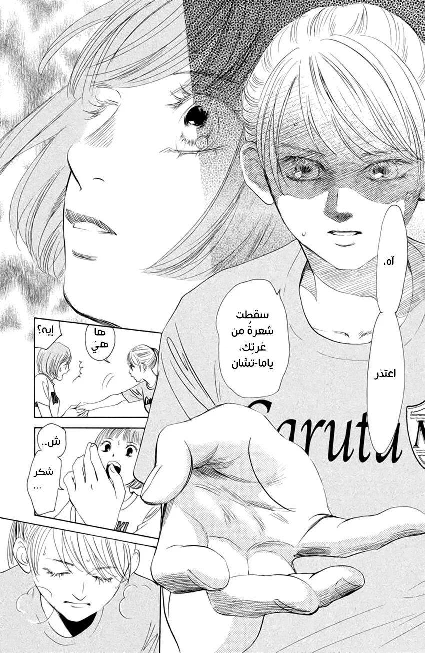 Read Chihayafuru AR Manga Online