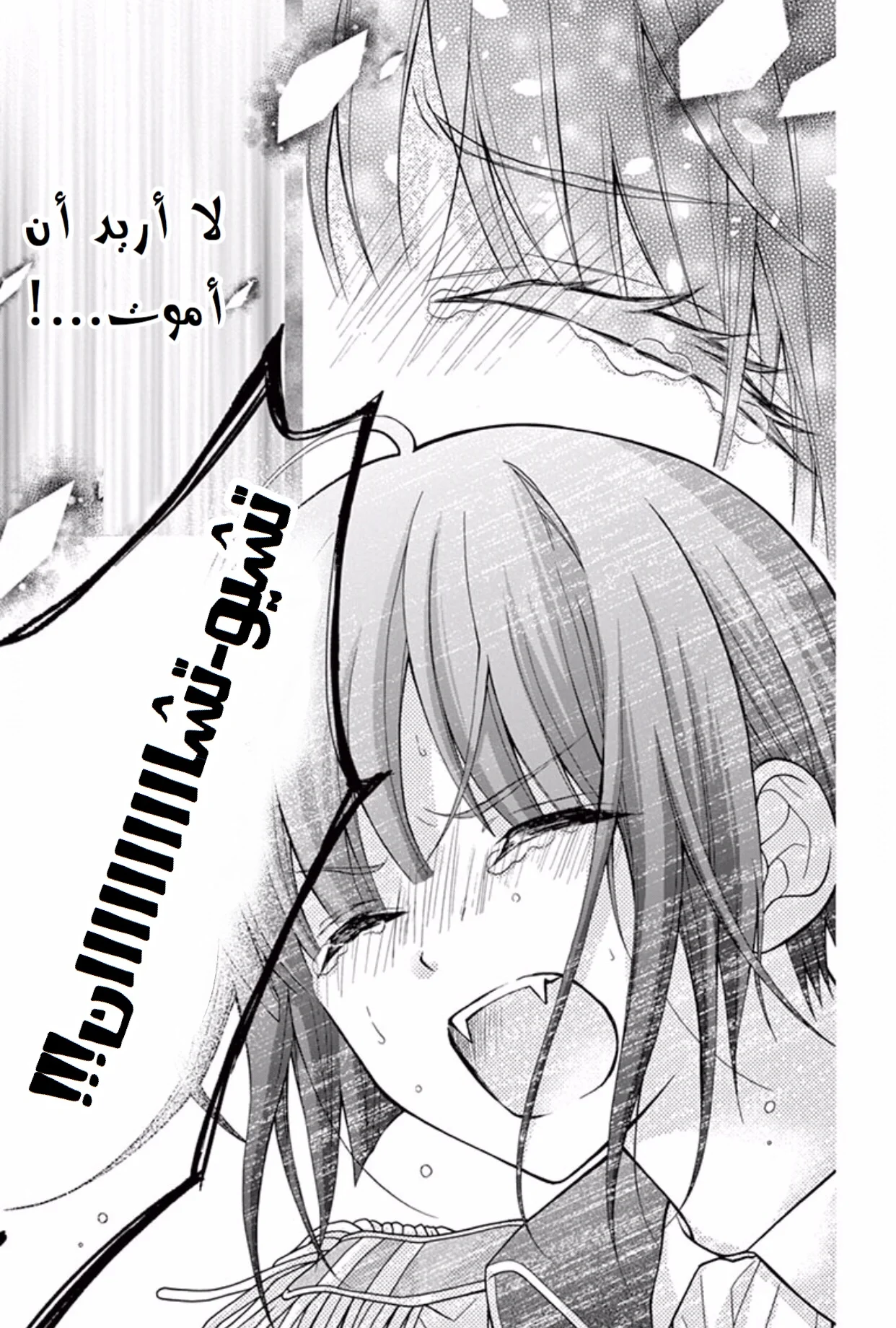 Read Chocolate Vampire AR Manga Online