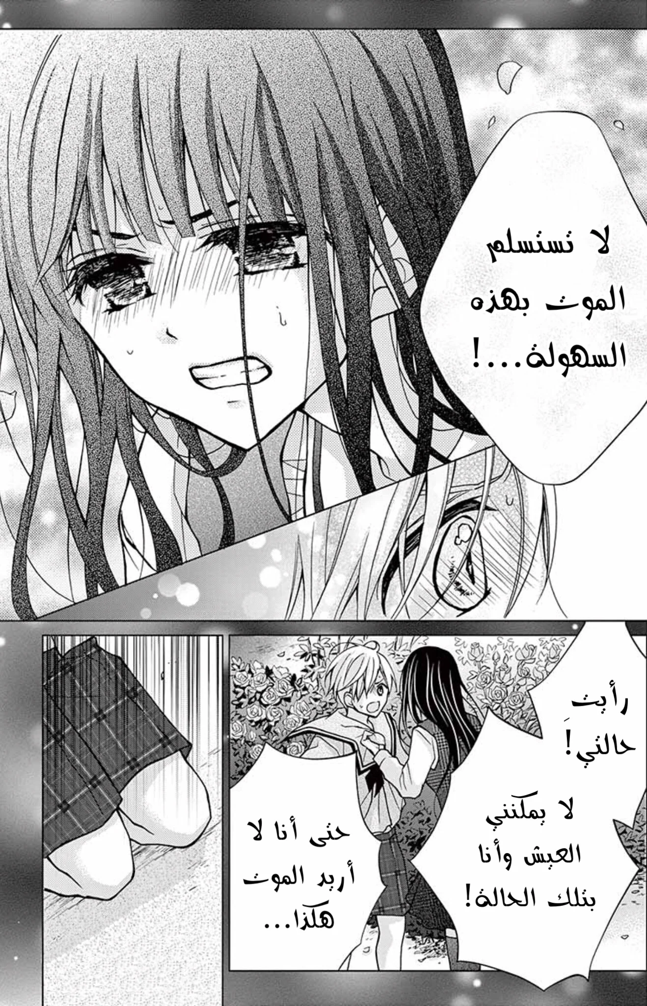 Read Chocolate Vampire AR Manga Online