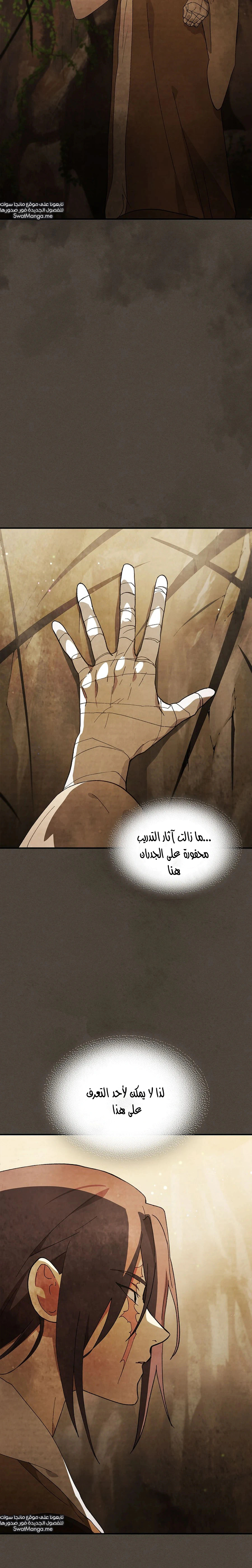 Read Chronicles Of The Martial God’s Return AR Manga Online