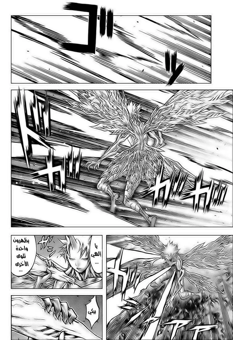 Read Claymore AR Manga Online