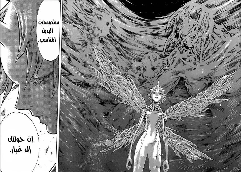 Read Claymore AR Manga Online