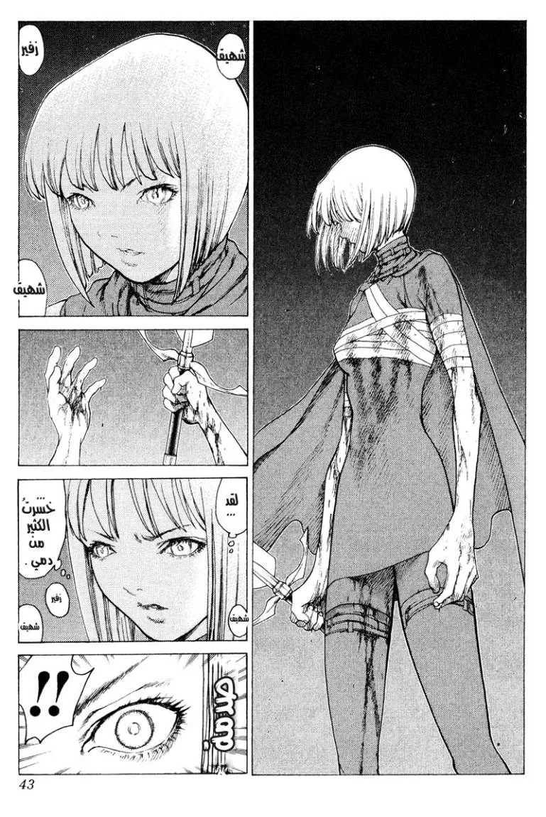 Read Claymore AR Manga Online