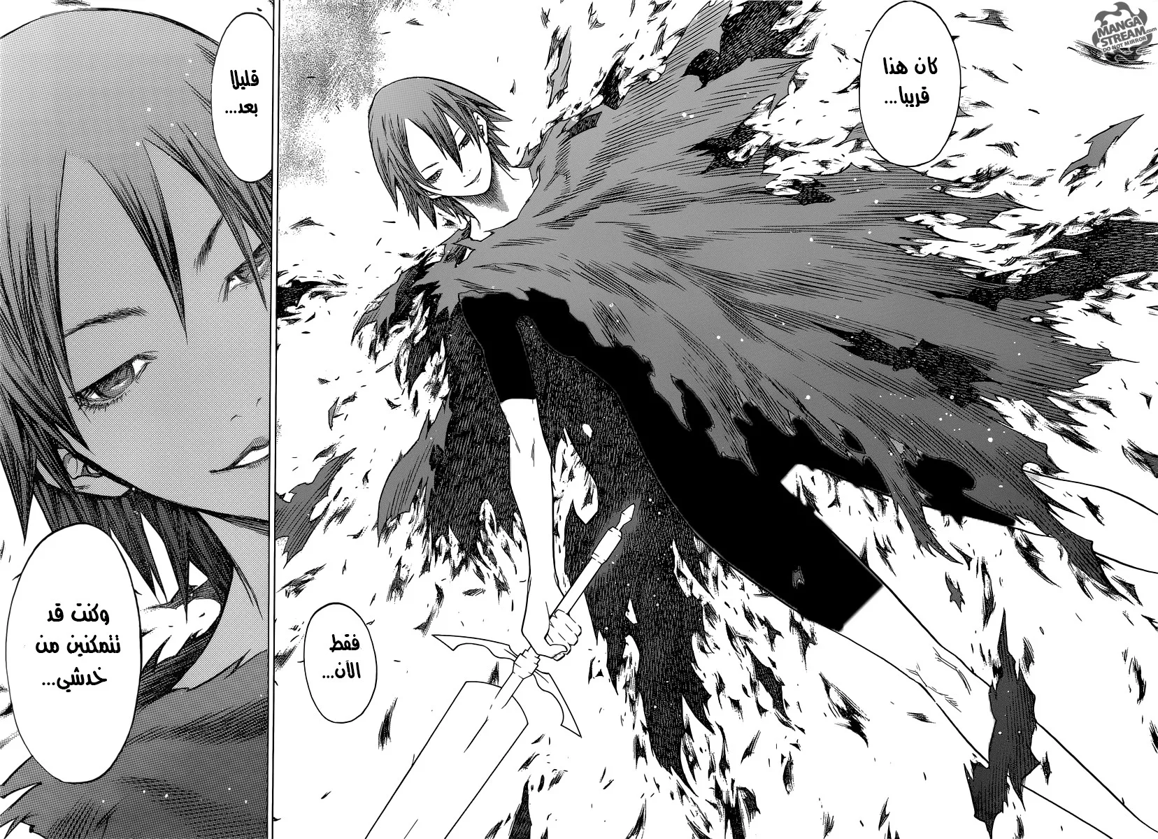 Read Claymore AR Manga Online