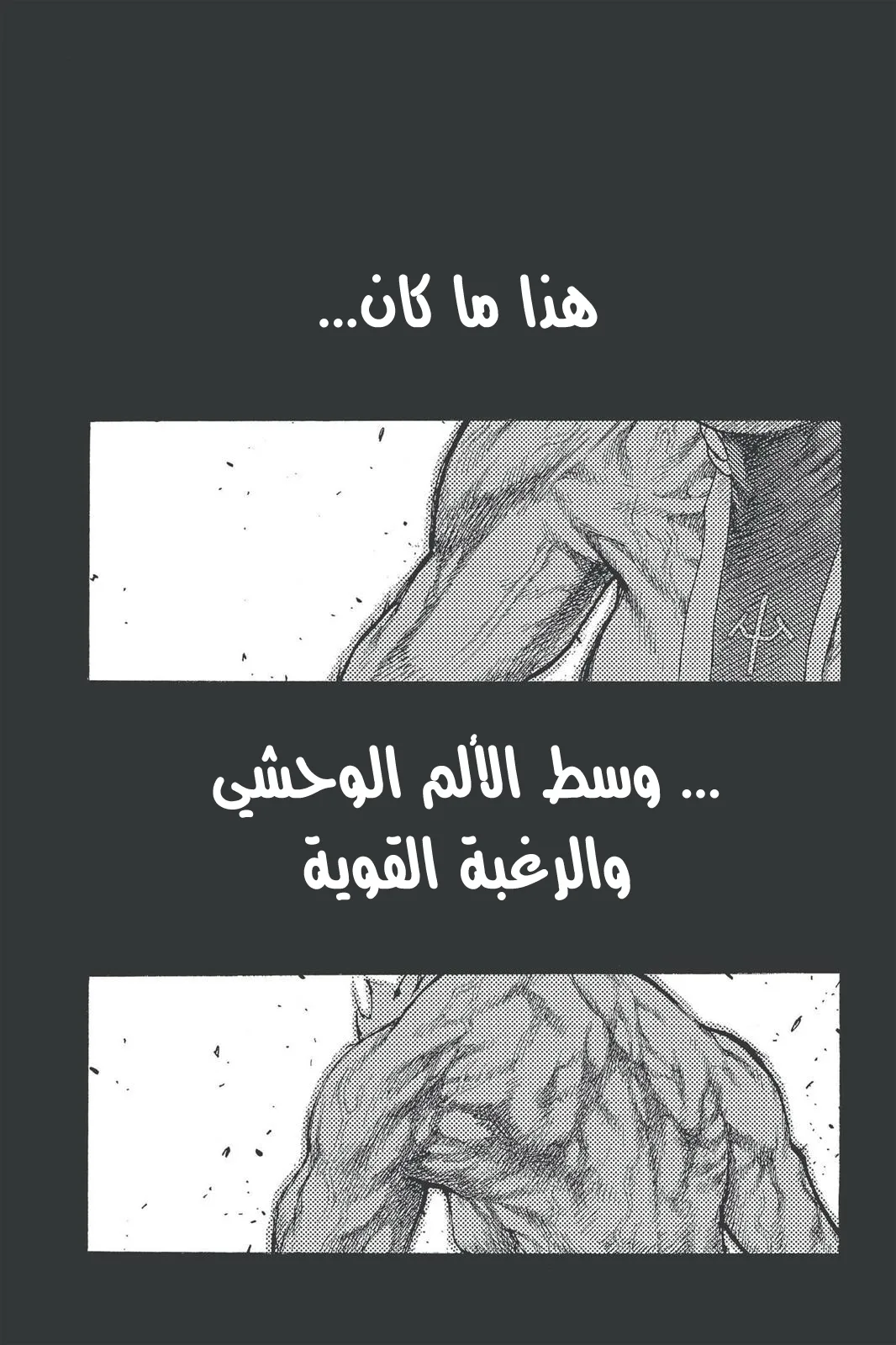 Read Claymore AR Manga Online