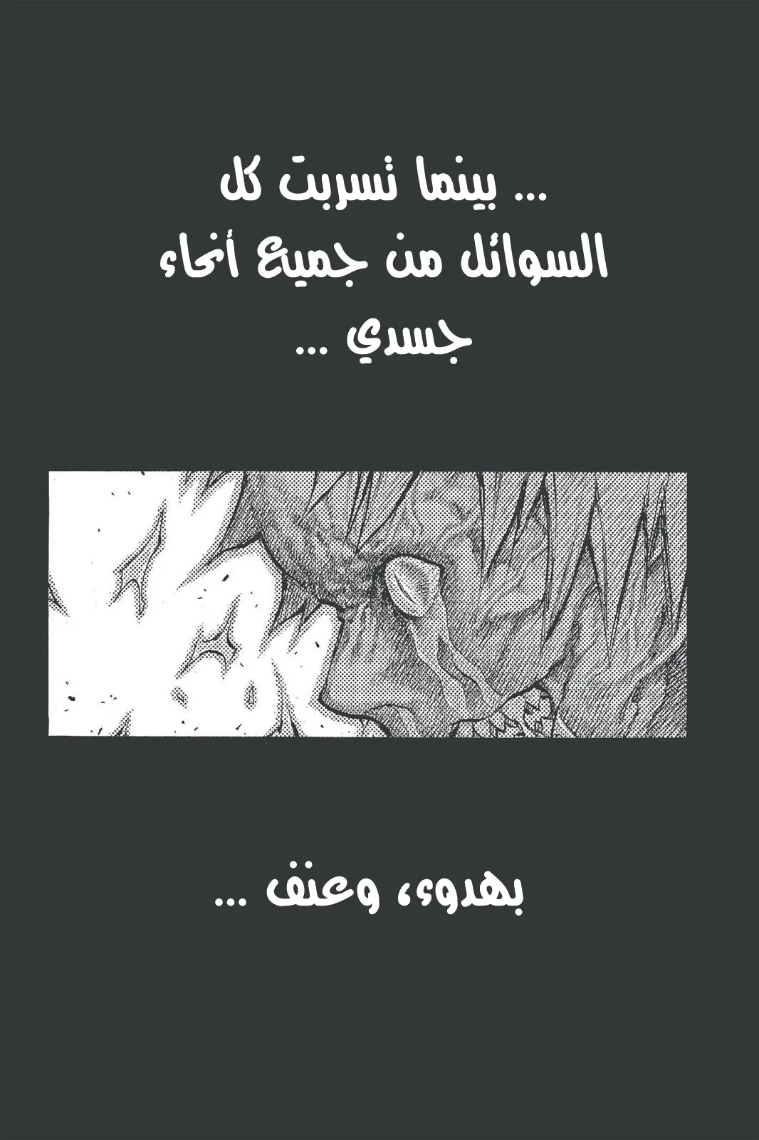 Read Claymore AR Manga Online