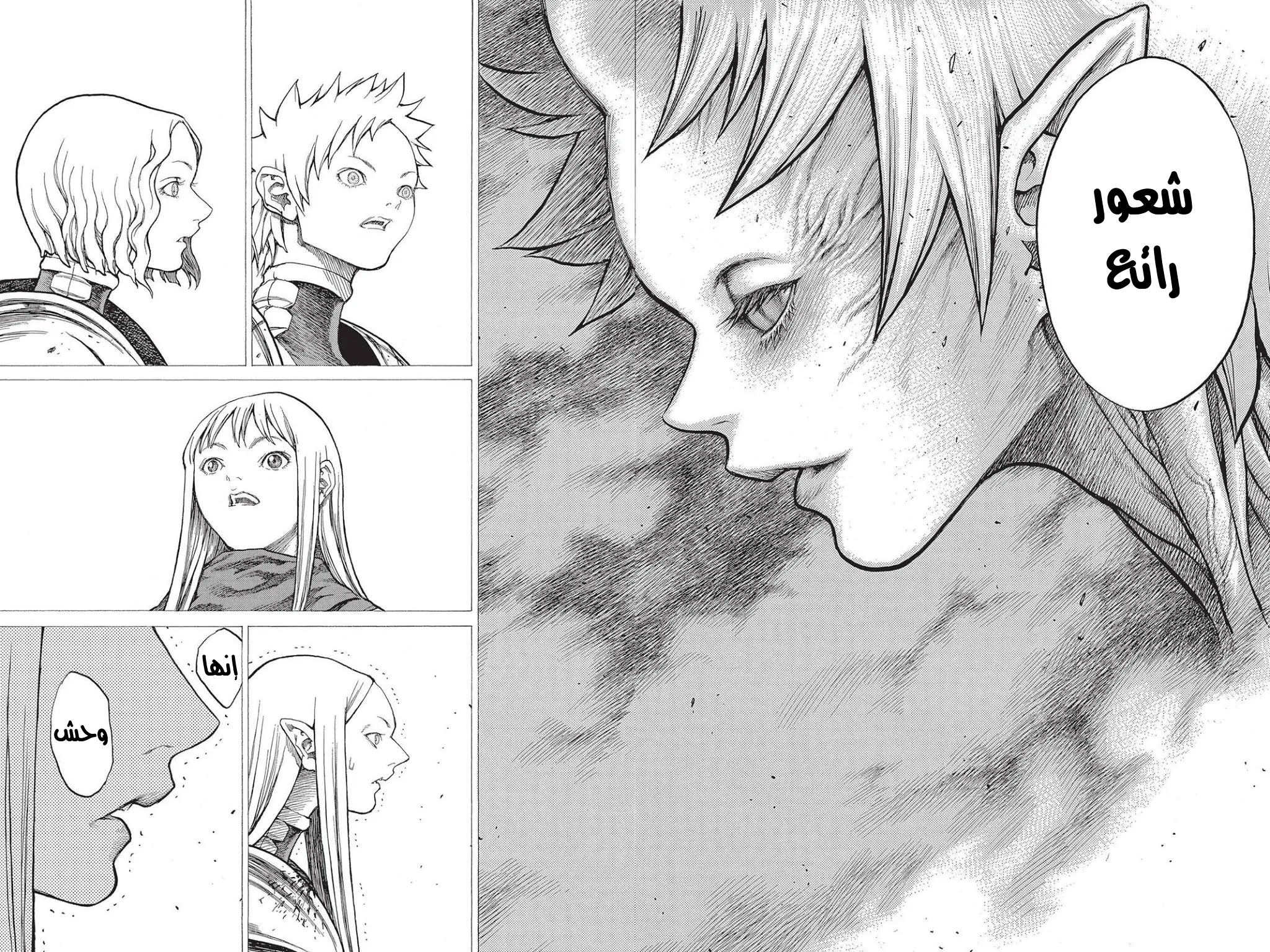 Read Claymore AR Manga Online
