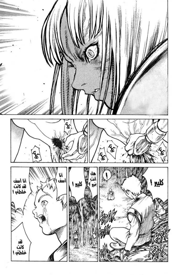 Read Claymore AR Manga Online