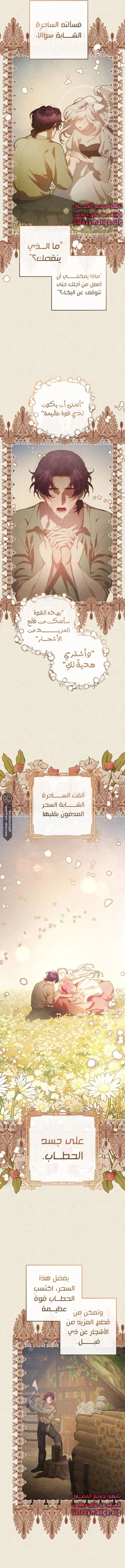 Read Crowning a Spoiled Prince AR Manga Online