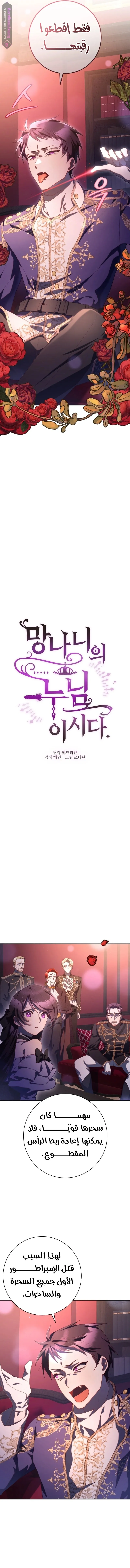 Read Crowning a Spoiled Prince AR Manga Online
