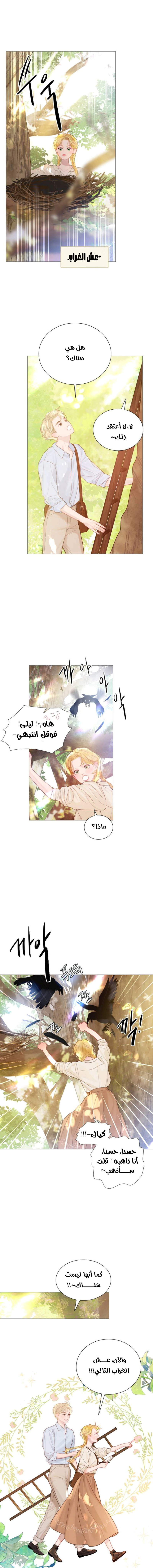 Read Cry or Better Yet Beg AR Manga Online