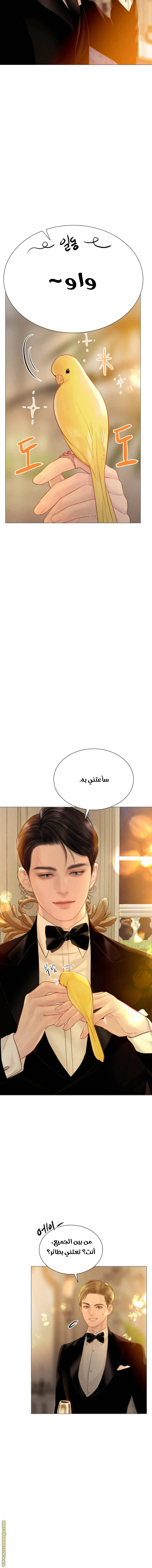 Read Cry or Better Yet Beg AR Manga Online