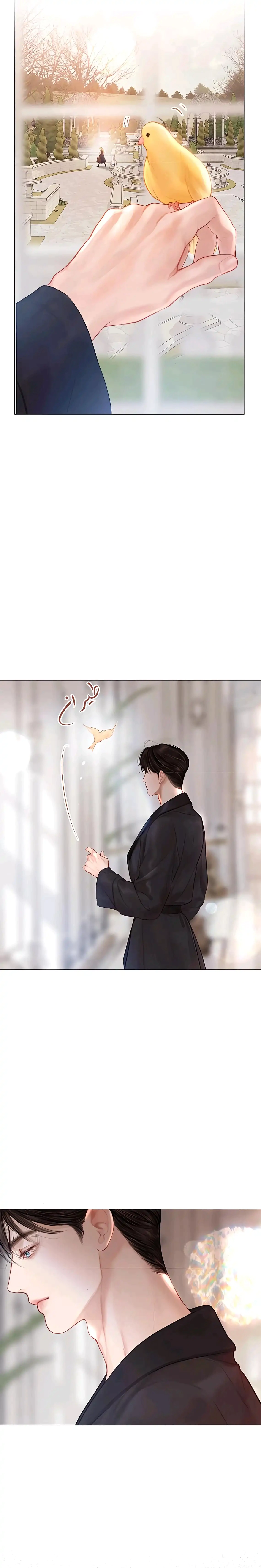 Read Cry or Better Yet Beg AR Manga Online