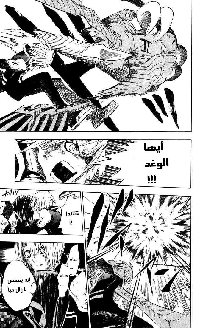 Read D.Gray-Man AR Manga Online