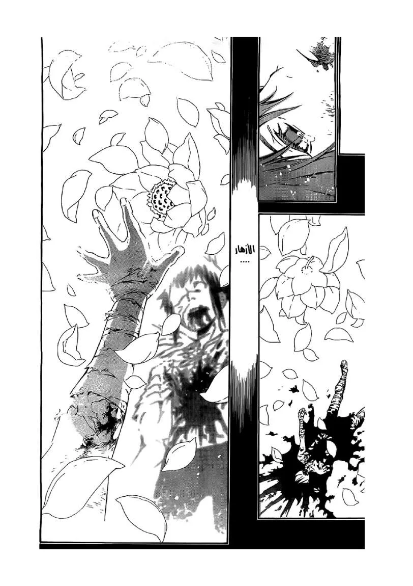 Read D.Gray-Man AR Manga Online