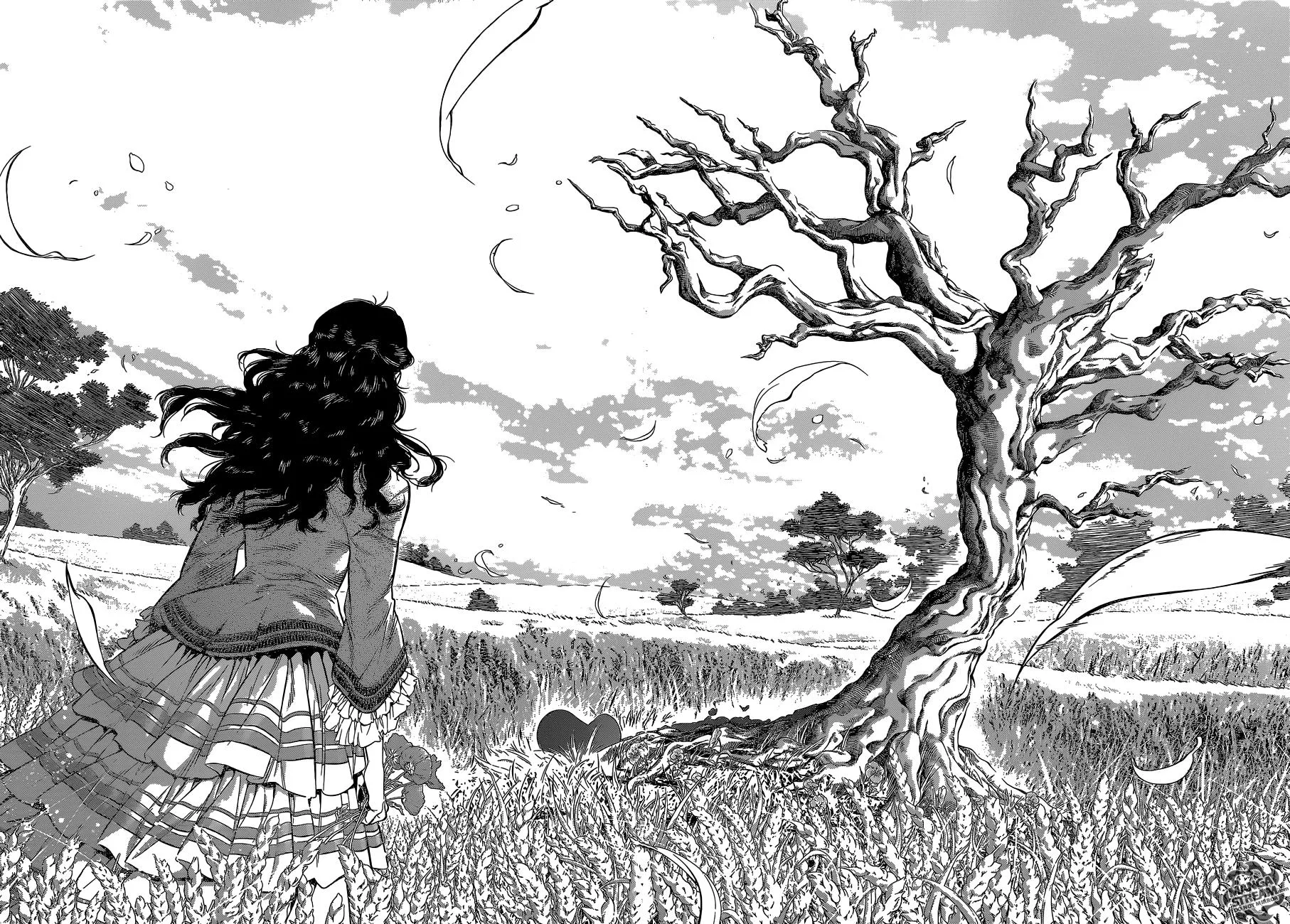 Read D.Gray-Man AR Manga Online