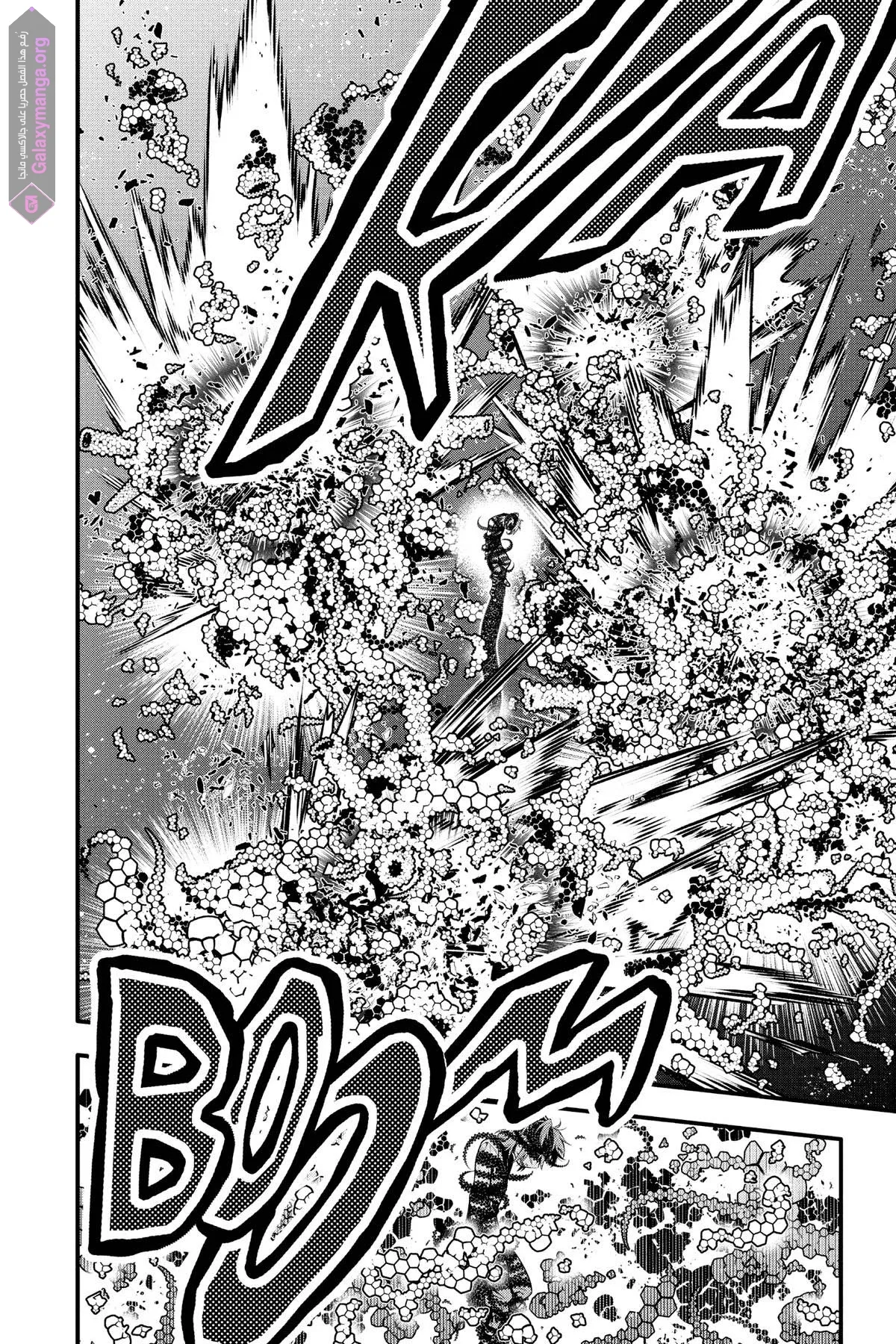 Read D.Gray-Man AR Manga Online