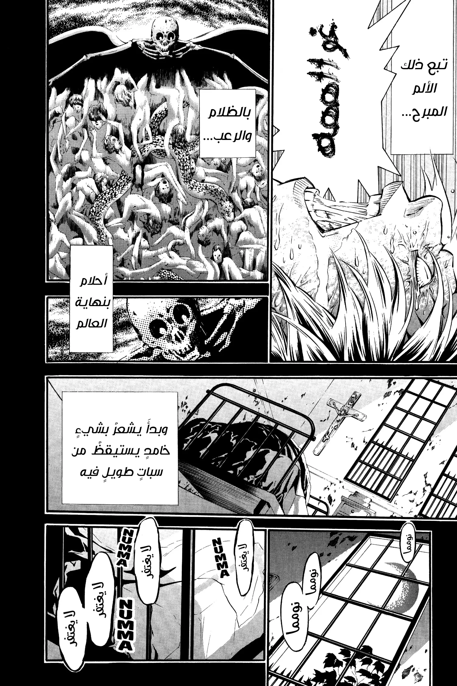 Read D.Gray-Man AR Manga Online