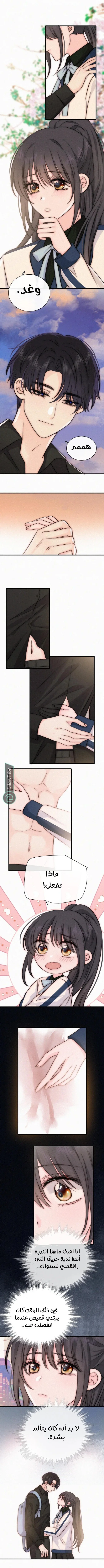Read Destined to Love You AR Manga Online