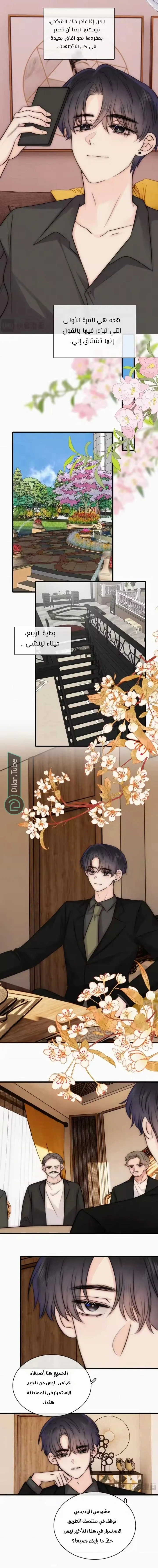 Read Destined to Love You AR Manga Online