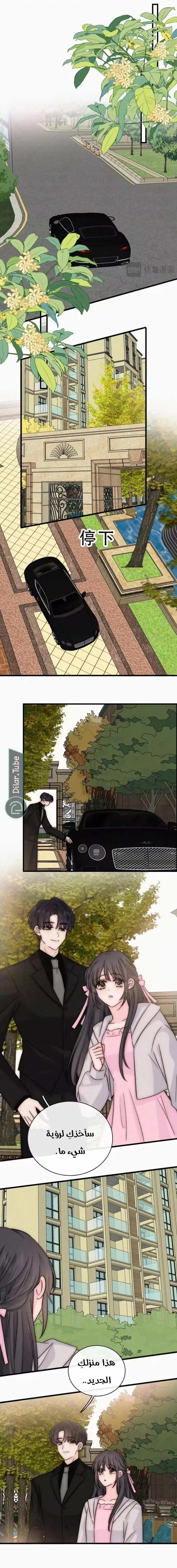 Read Destined to Love You AR Manga Online