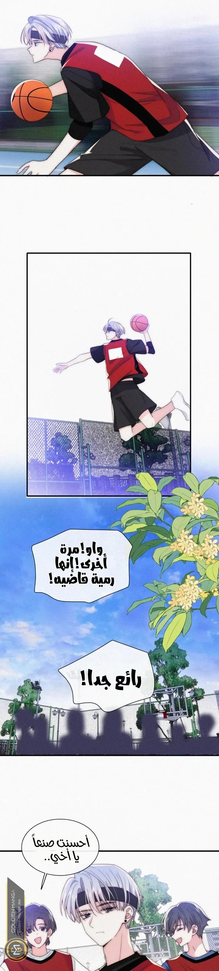 Read Destined to Love You AR Manga Online