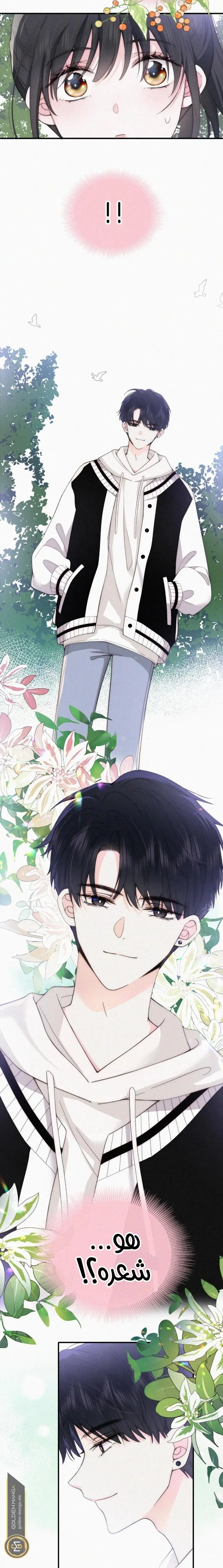 Read Destined to Love You AR Manga Online