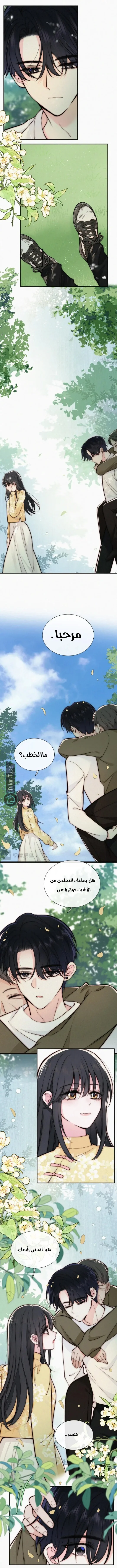 Read Destined to Love You AR Manga Online