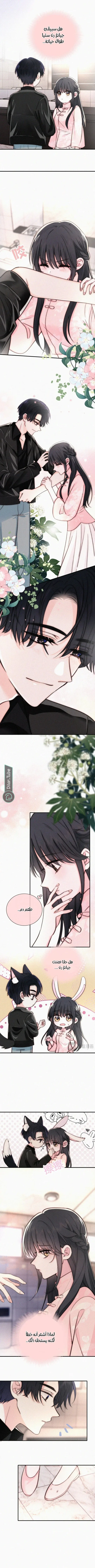 Read Destined to Love You AR Manga Online