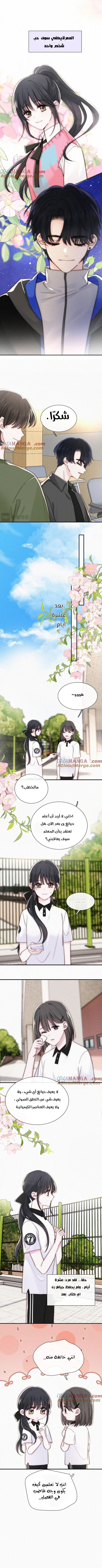 Read Destined to Love You AR Manga Online