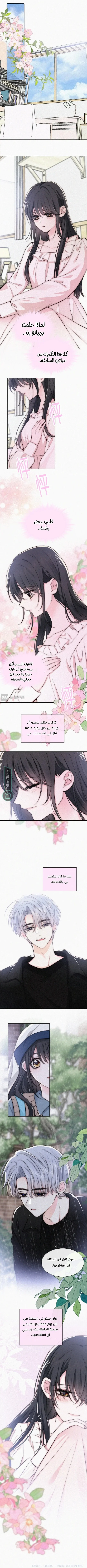 Read Destined to Love You AR Manga Online