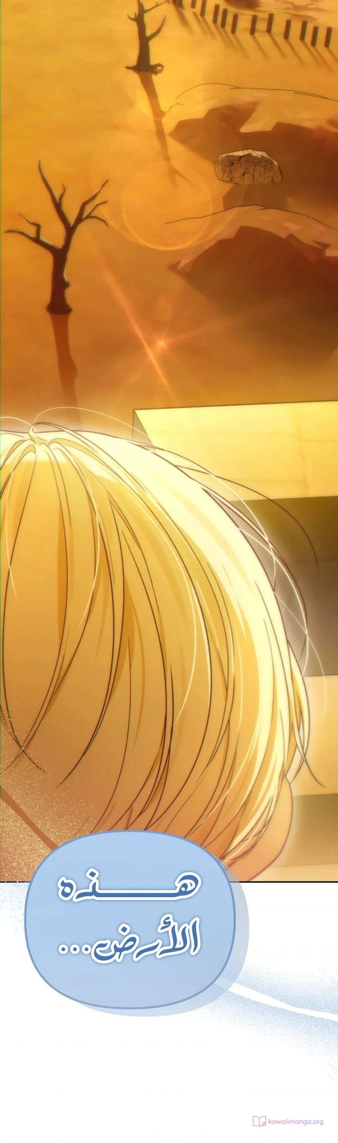 Read En Travesti I Became a Fake Prince AR Manga Online