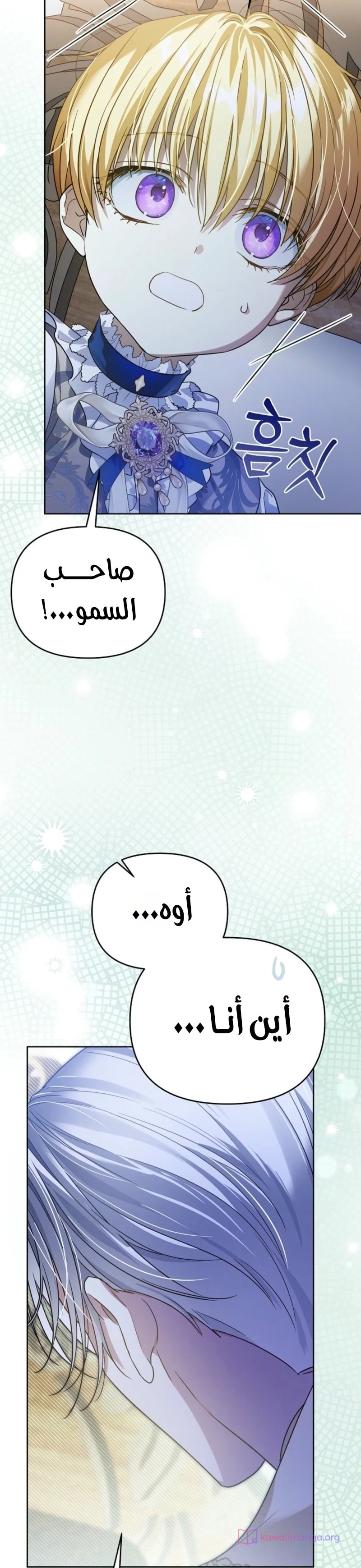 Read En Travesti I Became a Fake Prince AR Manga Online