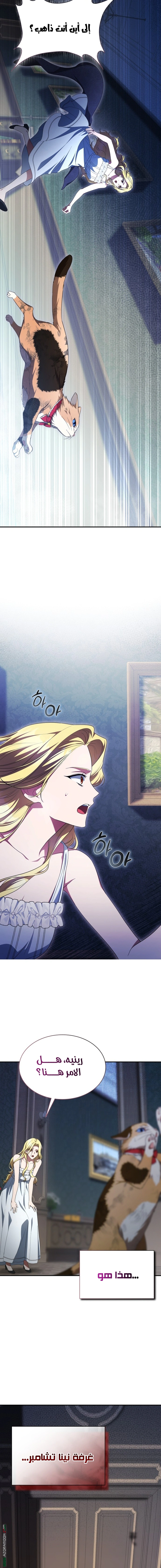 Read End of Contract Marriage AR Manga Online
