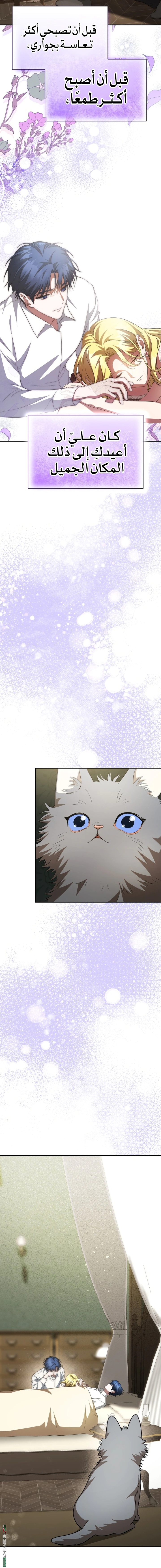 Read End of Contract Marriage AR Manga Online