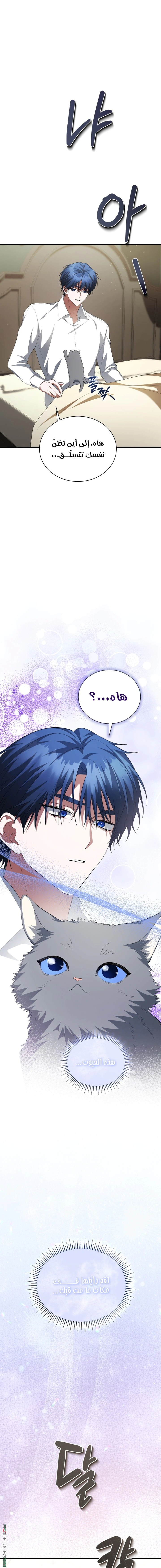 Read End of Contract Marriage AR Manga Online