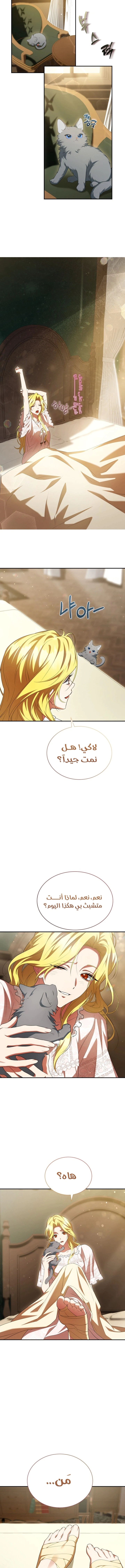 Read End of Contract Marriage AR Manga Online