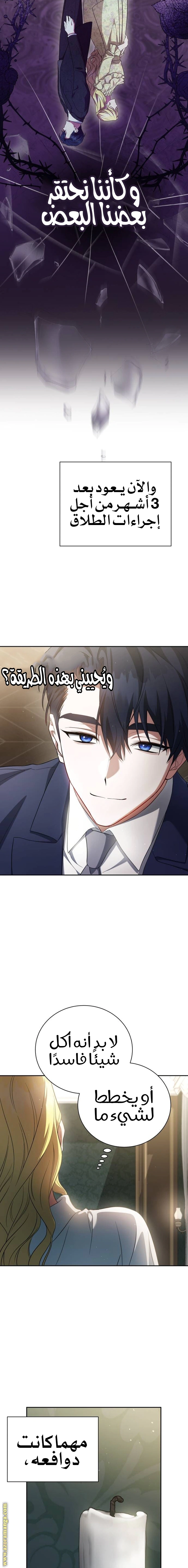 Read End of Contract Marriage AR Manga Online